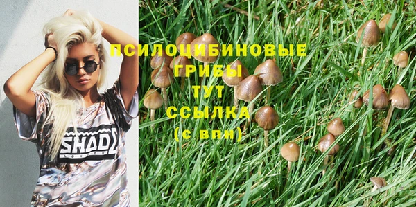 спиды Белокуриха