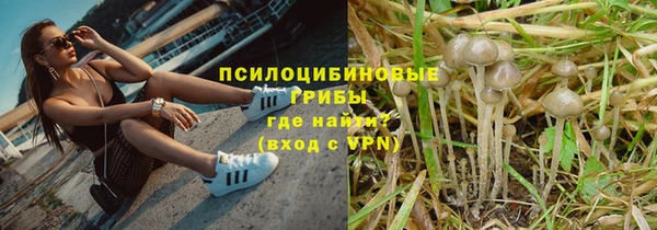 спиды Белокуриха