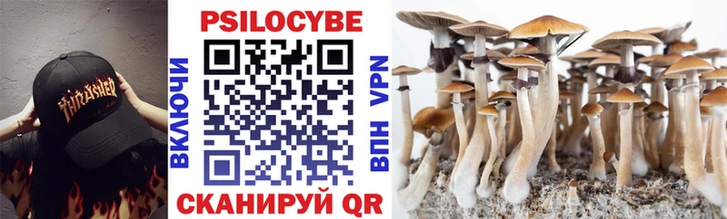 Купить где  Петушки  Псилоцибиновые грибы Magic Shrooms 